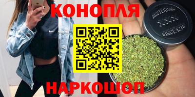 сатива Гусиноозёрск