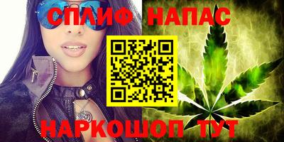 амф Гусь-Хрустальный