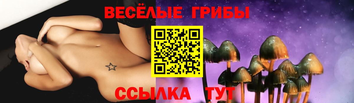 Галлюциногенные грибы Psilocybe Людиново