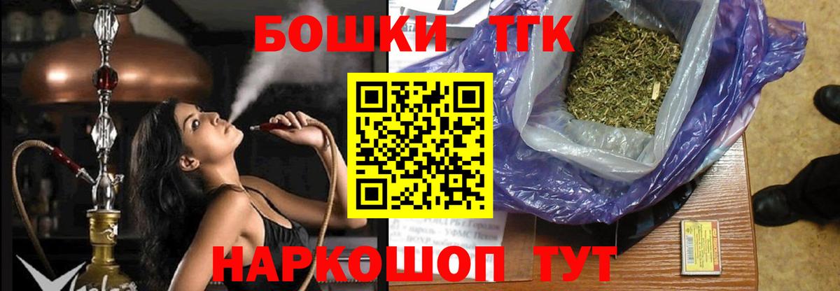 APVP Людиново